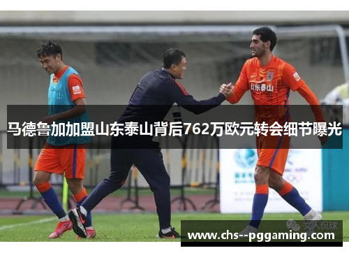 马德鲁加加盟山东泰山背后762万欧元转会细节曝光
