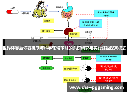 世界杯赛后恢复机制与科学轮换策略的系统研究与实践路径探索模式